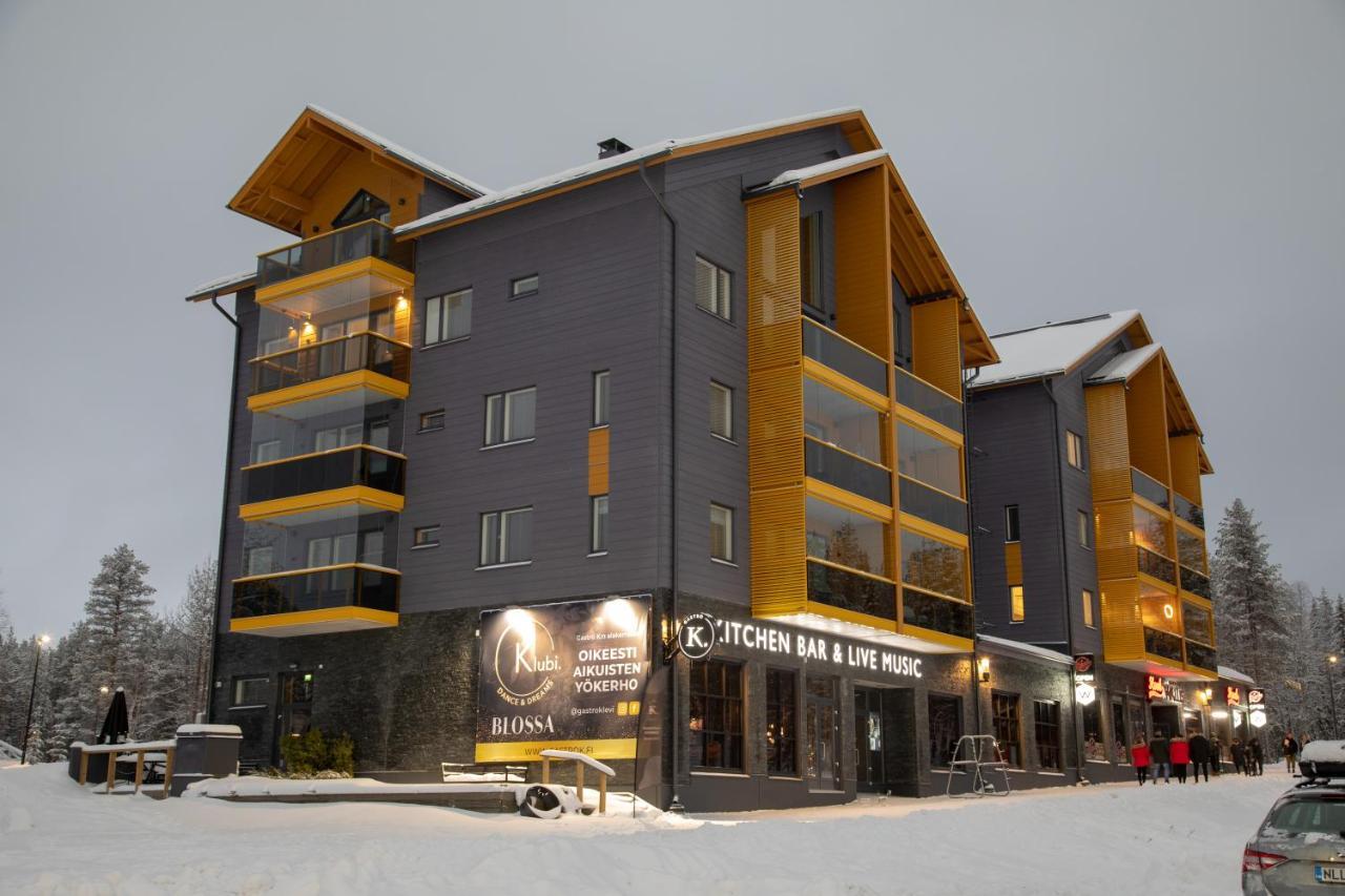 Levin Kunkku B2 Apartment Grey Kültér fotó